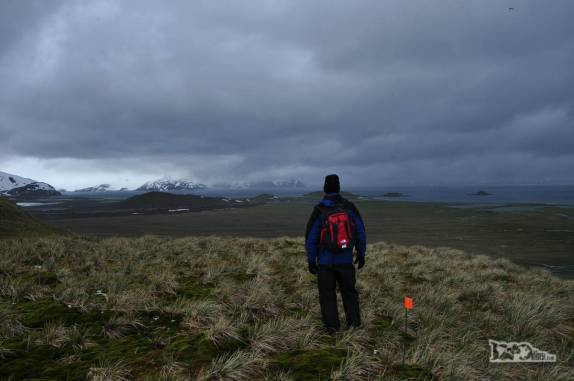 Observando a grandiosidade da paisagem de Salisbury Plain, na Geórgia do Sul